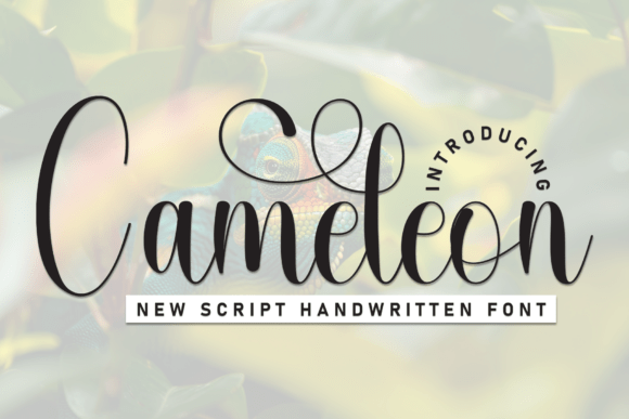 Cameleon Font: A Joyful Display Typeface for Makers and Small Shops